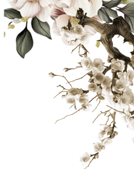 tree-3